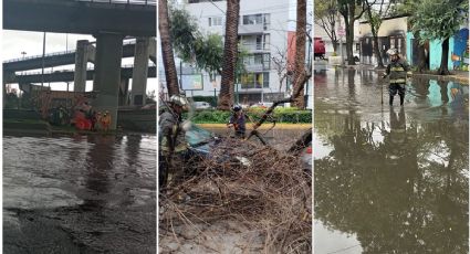 Inundaciones y árboles caídos, los estragos de la Lluvia en la CDMX