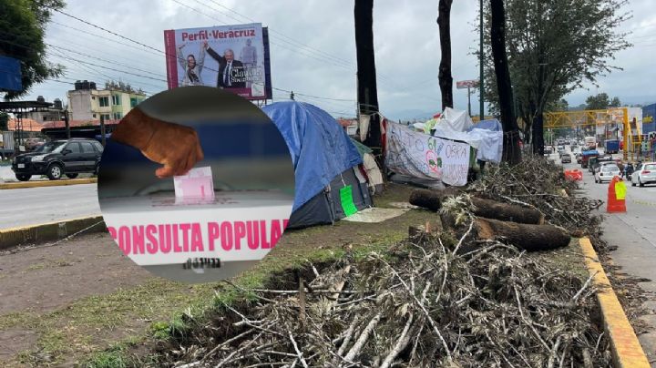 Con 16 mil firmas ambientalistas piden consulta popular por puente vehicular en Xalapa