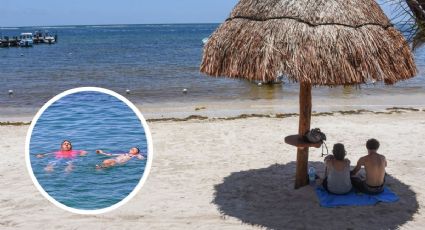 Turismo Veracruz: Playas de Mata de Uva, el paraíso escondido a media hora de la ciudad