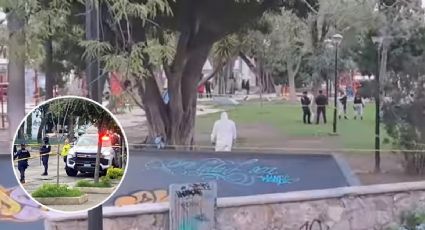 Balean a pareja frente a sus hijos en Parque Hidalgo, el papá murió