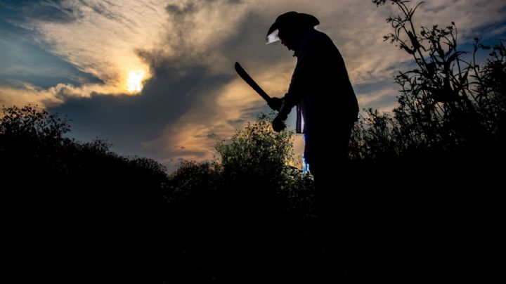 Productores en los campos tienen de 65 años en adelante