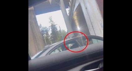 Video | Asalto y balazo a automovilista a plena luz en Anillo Periférico