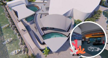 Nuevas instalaciones del Aquarium de Veracruz; revelan fecha y cómo quedarán