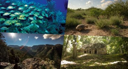 Estas son las 13 nuevas Áreas Naturales Protegidas en México