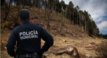 Tensión en Acaxochitlán: talamontes retienen a policía para liberar a cómplices detenidos