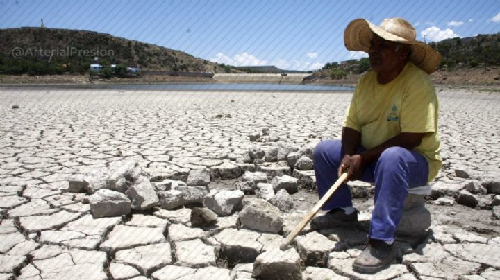 Demagogia por un tubo