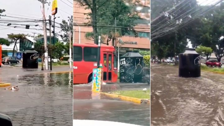 VIDEO | “No me lo van a creer jefe…”: tinaco gigante choca contra autos