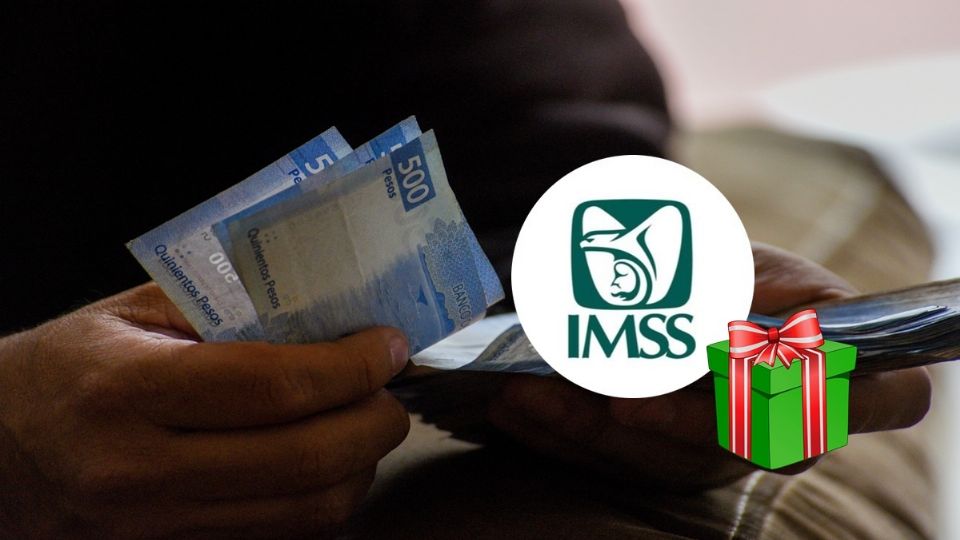 'Mi Pensión Digital IMSS” tiene como objetivo principal facilitar la solicitud de pensión sin salir de casa.
