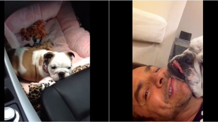 Luto en la familia Derbez, así se despidió el comediante de unos de sus seres queridos