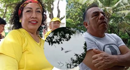 Vecinos de Laguna Lagartos piden no matar a serpiente que fue vista en el sitio