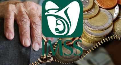 Pensiones en México: ¿Cómo solicitar y obtener la Pensión IMSS de 60,000 pesos?
