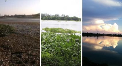 Laguna de Lagartos: de la sequía a santuario de especies silvestres