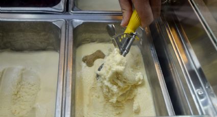 Si tienes este helado tíralo; Cofepris anuncia alimento infectado con bacteria