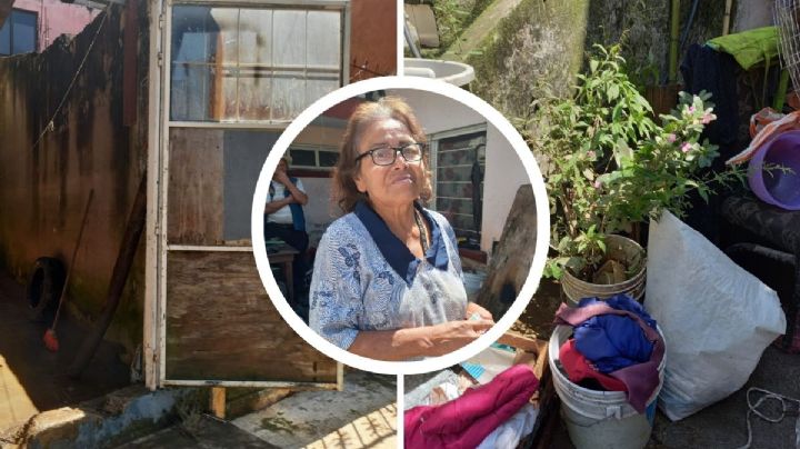 Perdí mis muebles y mis plantitas se murieron: Venancia, afectada por las lluvias en Xalapa