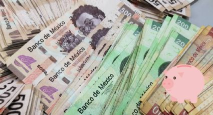 Así te prestan 400,000 pesos para tu emprendimiento en Guanajuato