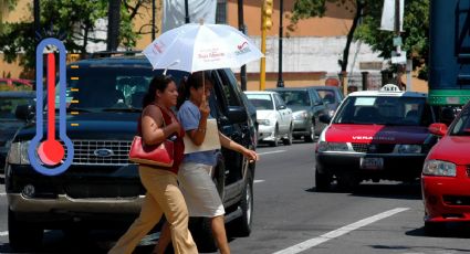 ¿Cómo estará el clima en Veracruz este martes 08 de agosto?