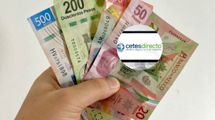 Cetes: las mujeres facturan y también invierten