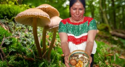 Feria del hongo llega a este Pueblo Mágico de Hidalgo, ¿dónde y cuándo?