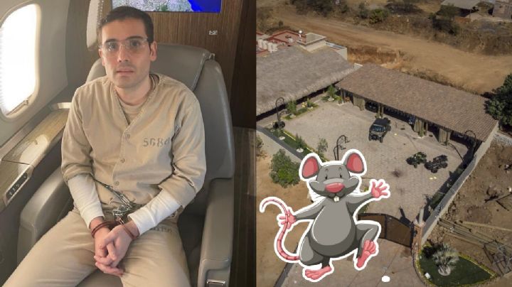 Ovidio Guzmán: La teoría por la que llaman "El Ratón" al hijo de "El Chapo" Guzmán