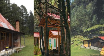 3 cabañas para hospedarte en medio del bosque en Las Vigas