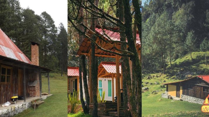 3 cabañas para hospedarte en medio del bosque en Las Vigas
