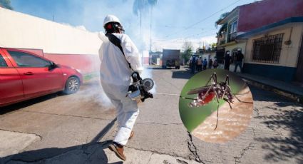 Dengue Veracruz: con más de 7,000 casos es segundo lugar nacional