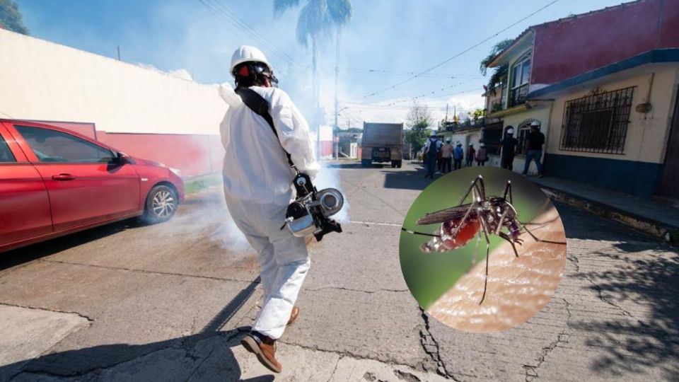 Casos de dengue confirmado en Veracruz