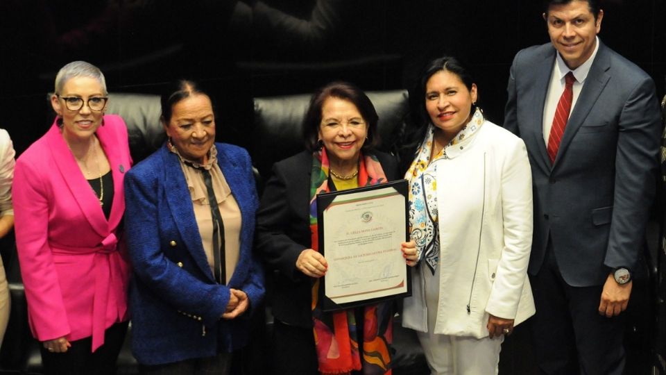 Celia Maya es designada nueva consejera de la Judicatura Federal.