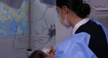Leche materna en polvo: el avance de científicos mexicanos