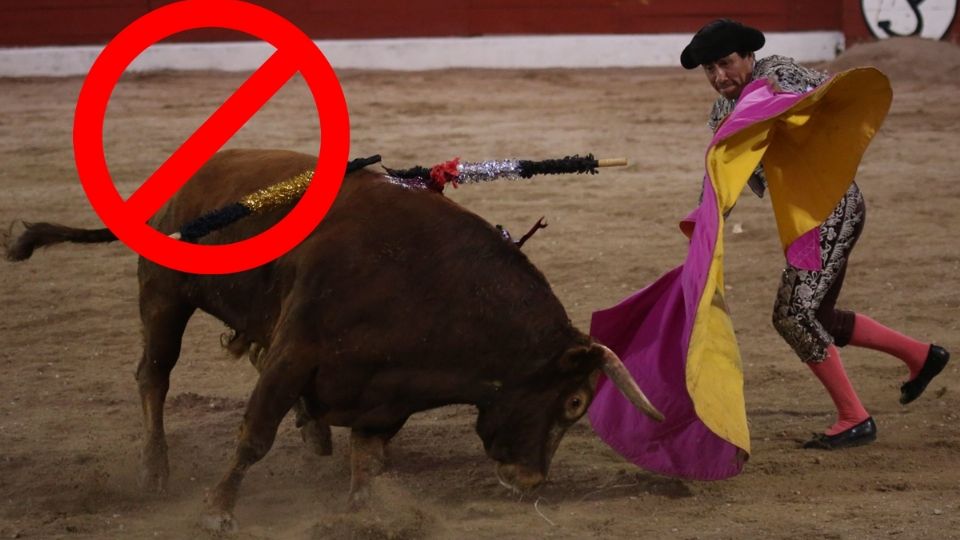 Asociación civil presenta amparo contra el regreso de las corridas de toros en CDMX