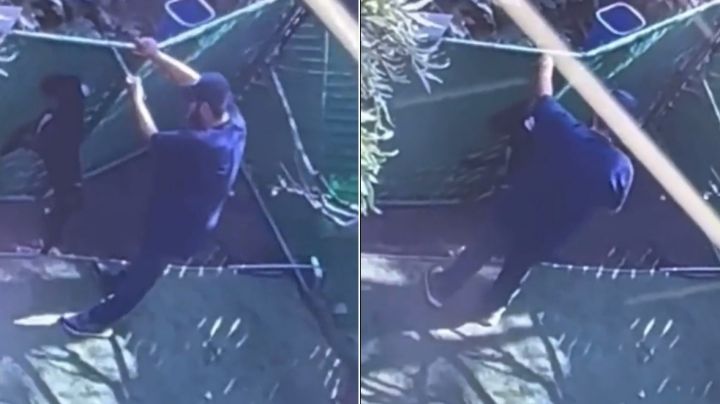 VIDEO | Exhiben a empleado de hotel para mascotas maltratando a lomito