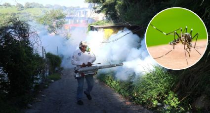 Aumenta el dengue en Guanajuato; estos son los síntomas