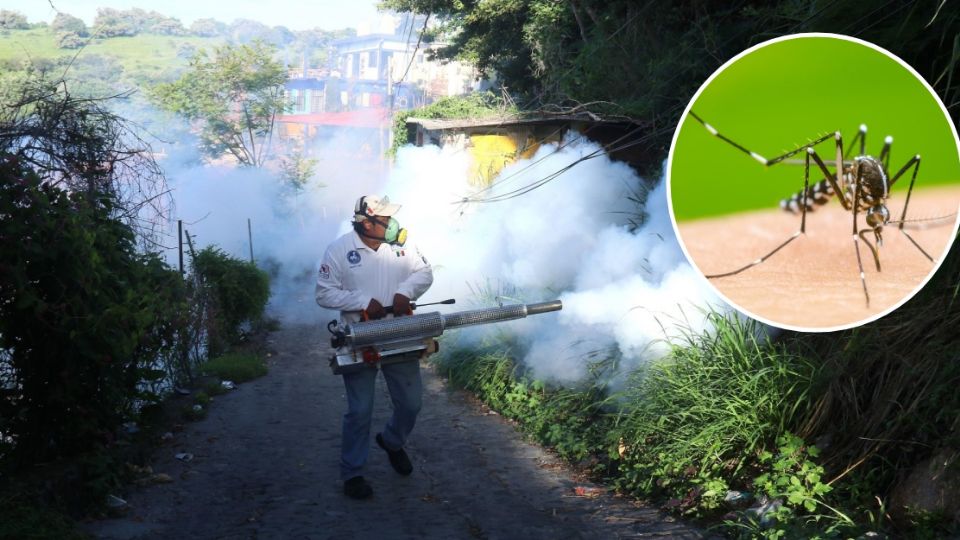 En el estado se han confirmado 130 casos de dengue.