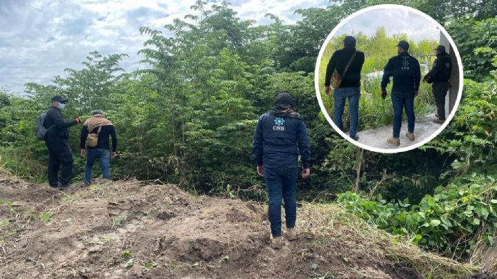 Esto se sabe de la búsqueda de fosas clandestinas en fraccionamiento de Veracruz