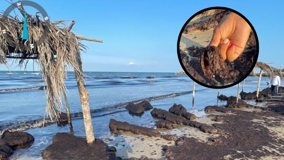 En playas de Tuxpan arribó sargazo