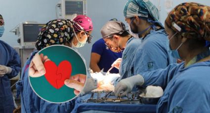 Realizan la primera donación múltiple de órganos de 2024 en Veracruz