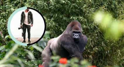 Así fue la vida de un fotógrafo que vivió 3 meses con un gorila