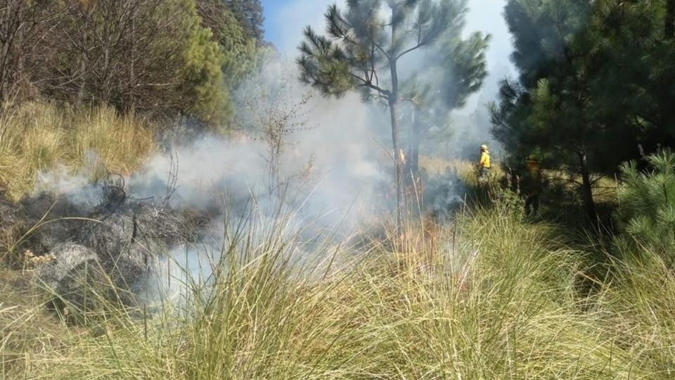 Incendios forestales en Edomex: van 6 en 10 días