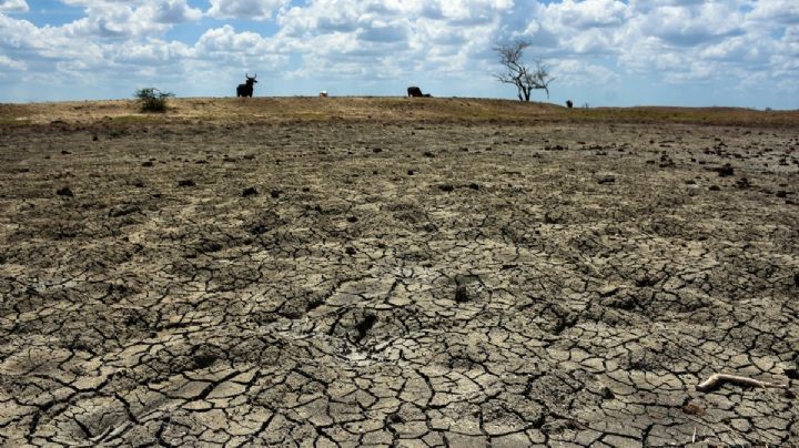 Jalisco, Guanajuato, Zacatecas y Tamaulipas: Claves de la sequía que azota al Bajío