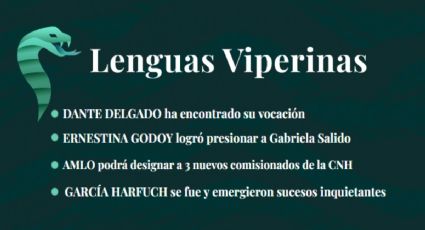 Lenguas Viperinas