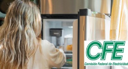 Guanajuato: Así puedes tener un nuevo refrigerador con la CFE