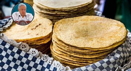 ¿Por qué no subirá el precio de la tortilla según AMLO?
