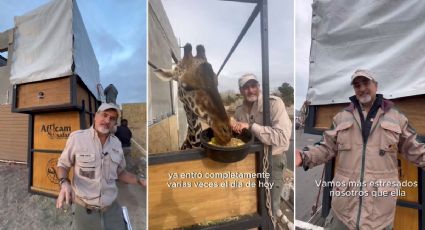 Benito: Así es la caja que transporta a la jirafa desde Chihuahua hasta Puebla