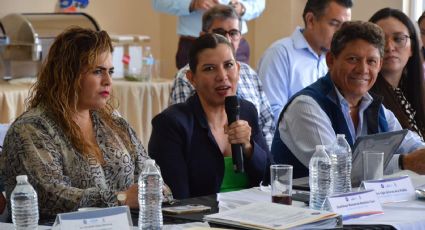 ¿Quién es Ligia Graciela, la nueva secretaria de Salud de Guanajuato?