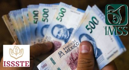 Pensión del IMSS en Guanajuato: ¿qué día de febrero la pagan?