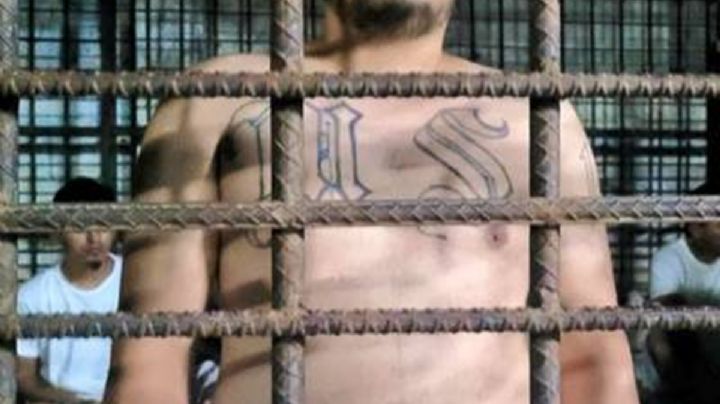 El Rafa, el pandillero que engañó a Nayib Bukele antes de la elección