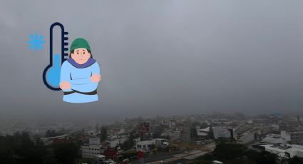 ¿Cómo estará el clima en Xalapa este lunes 29 de enero?