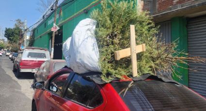 CDMX "recicla la magia": Abren centros de acopio para árboles de Navidad
