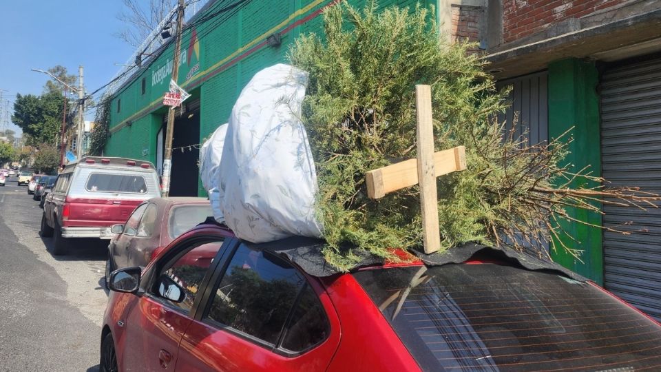 Abren centros de acopio para llevar árboles de Navidad naturales al reciclaje.