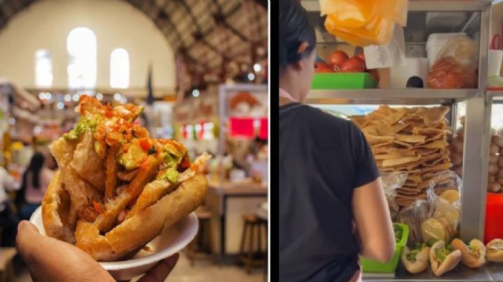 Guacamayas de León: esta es la mejor recenta para preparar la torta más deliciosa